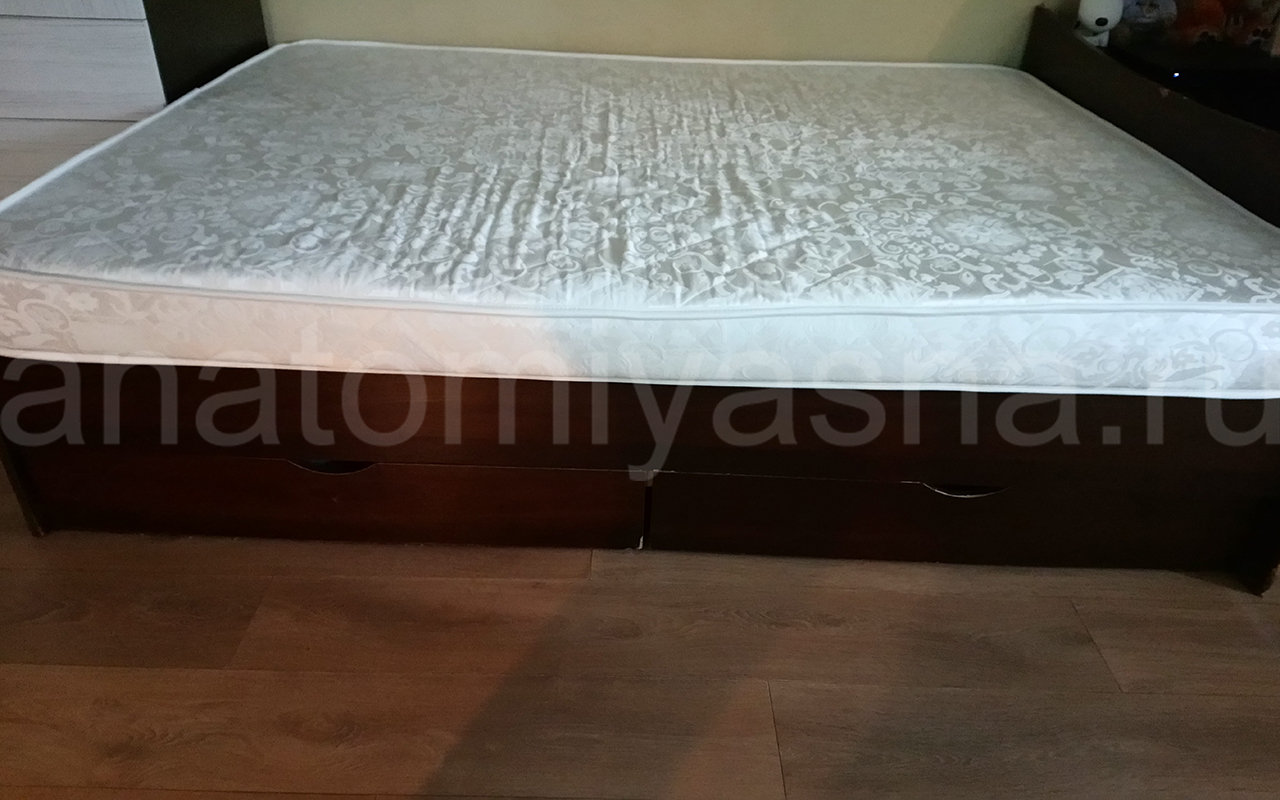 отзыв о Матрас Everest Ноу спринг Рестролл Эко фото 4